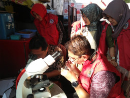 Cegah Penyakit Demam Berdarah, Dinkes Jatim Teliti Prilaku Nyamuk di Kupang Krajan II Surabaya.