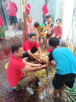 Sembelih 33 Ekor Sapi dan Belasan Ekor Kambing, Panitia Daging Korban RW 3, Tidak Buang Kotorannya di Saluran Air.