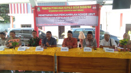 Pengundian No. Urut Pilkades Dadapan, Dipimpin Langsung oleh Camat Kabat.