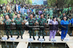 TNI Tanam 3 Ratus Ribu Mangrove di 74 Titik Dari Sabang Sampai Merauke, Di HUT TNI ke 74.