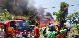 Gudang Penyimpanan Ribuan Kayu Damar, Ludes Dilalap si Jago Merah.