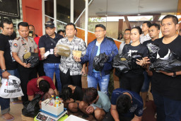 Di Back Up Polda Metro dan Polda Jatim, Reskoba Polrestabes Surabaya Grebek Peredaran Ganja Sintetis. 