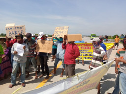 Ratusan Petani Turirejo Gelar Aksi Demo, Ada Apa?