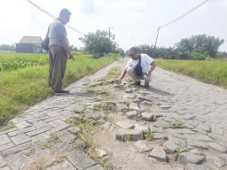 Terkenal Sebagai Jalur Tengkorak, Jalan Poros Munggugianti Membuat Was-Was Warga Sekitar