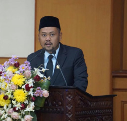 Direkom Partai Lain, Fandi Ahmad Yani Disangsi DPP PKB.