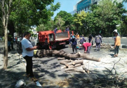 Komandan Urc Bina Marga, Pantau Langsung Proyek Underpas Wahidin Sudirohusodo