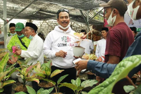 Safari di Kecamatan Driyorejo, Qosim-Alif Optimis Jadikan Gresik Sebagai Sentra Adenium dan Aglaonema di Indonesia.