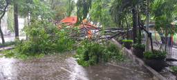 Hujan Angin, 1 Pohon Tumbang, Bilik Disinfektan RS. PHC  Hancur.