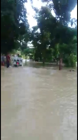 Disebut Terparah Tahun ini, Banjir Kali Lamong Tenggelamkan Desa di Gresik.