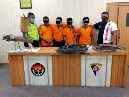 Polsek Cerme Polres Gresik, Bekuk 4 Pencuri Kabel PT. Telkom.