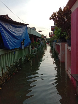 Tiga Ratus Rumah di Desa Tambakberas, Terendam Banjir Luapan Kali Lamong.