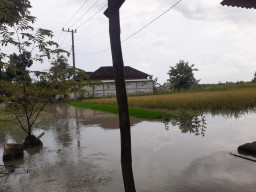 Warga Benjeng Mengeluh, Banjir Datang di Saat Menjelang Musim Panen