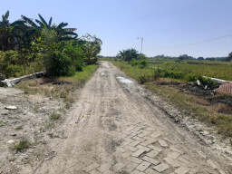 Warga Sedapur Kelagen Mengeluh, Jalan Rusak di Saat Musim Panen