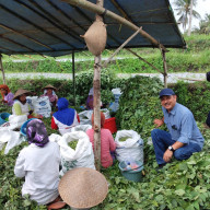 Potensi Etintas Pertanian, Sebagai Bangkitnya Ekonomi Banyuwangi.