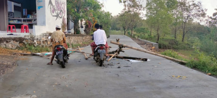 Betonisasi Jalan Tambelangan-Banyuates Sampang Milik PT. Haka Utama Sejahtera, Sendat Perekonomian Warga