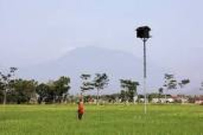 Pagu Beda Jauh, Proyek Rubuha Distan 2021 Layak Disorot