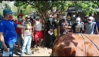 Hari Raya Idul Adha ke Dua, Kojar-Dolly Surabaya Sembelih Sapi Bantuan Risma