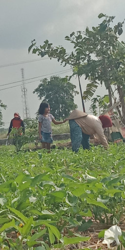 Orang Tuanya Lama Bercerai, Kini Ibunya Meninggal Karena Covid-19, Naura Kini Diasuh Kakeknya