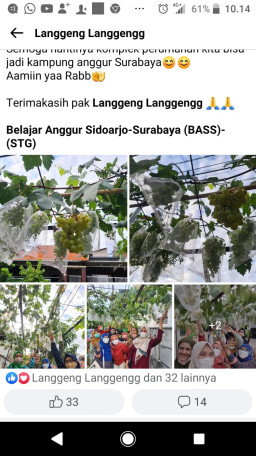 Beri Bantuan Bibit Anggur Ke Kampung Kampung, FB Langgeng Langgeng Tuai Ucapan Terima Kasih