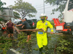 Gerak Cepat, Polres Gresik Bantu Evakuasi Sejumlah Pohon Tumbang, Diterjang Angin Kencang