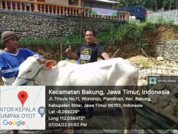 Wabah PMK pada Hewan Ternak, Dinas Peternakan Jatim Harus Bertanggung Jawab