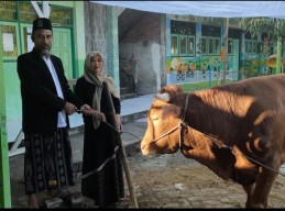 ANGGOTA DPRD GRESIK, HJ. JAMIYATUL MUKAROMAH SETIAP TAHUN QURBAN SAPI, BERSAMA MI MAARIF NU HASYIM AL HADI