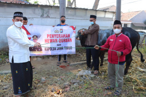 Polres Gresik Salurkan Hewan Kurban, 11 Sapi dan 73 Kambing Pada Idul Adha 1443 H
