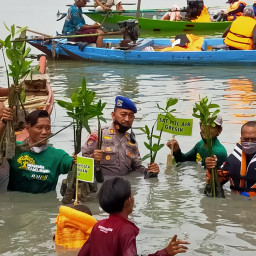 Peduli Lingkungan Polairud Polres Gresik Tanam Mangrove di Hari Perhubungan Nasional