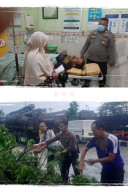 Polisi Bantu Evakuasi Pohon Tumbang, di Jalan Raya Nasional Duduksampeyan