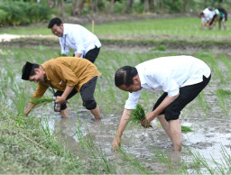 Kunjungan Kerja ke Jatim, Presiden Jokowi Apresiasi Petani Tuban Gunakan Pupuk Organik