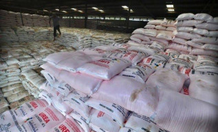 Harga Pupuk Mahal, Petani Sambat, Kios di Kecamatan Tambelangan Patok Harga Di atas HET 