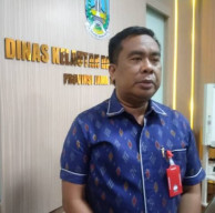 Jajaki Kerjasama Investor, DKP Jatim Percepat Ekspor Ikan Tuna dari Laut Selatan