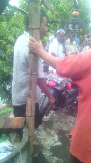 Pencuri Burung Love Bird Pogot Tertangkap di Platuk