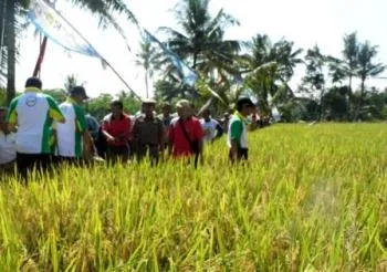    Dinas Pertanian Programkan 10 Hektare Lahan Pertanian Organik Tiap Kecamatan