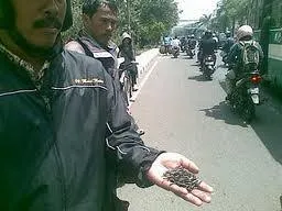 Jalan Raya Ibukota Rawan Ranjau Paku