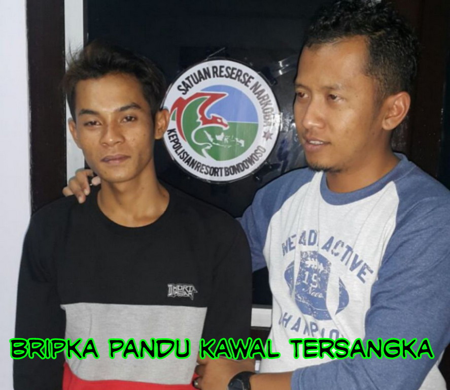 Tak Sempat Edarkan Pil Koplo, Budianto Keburu di Tangkap Aparat.