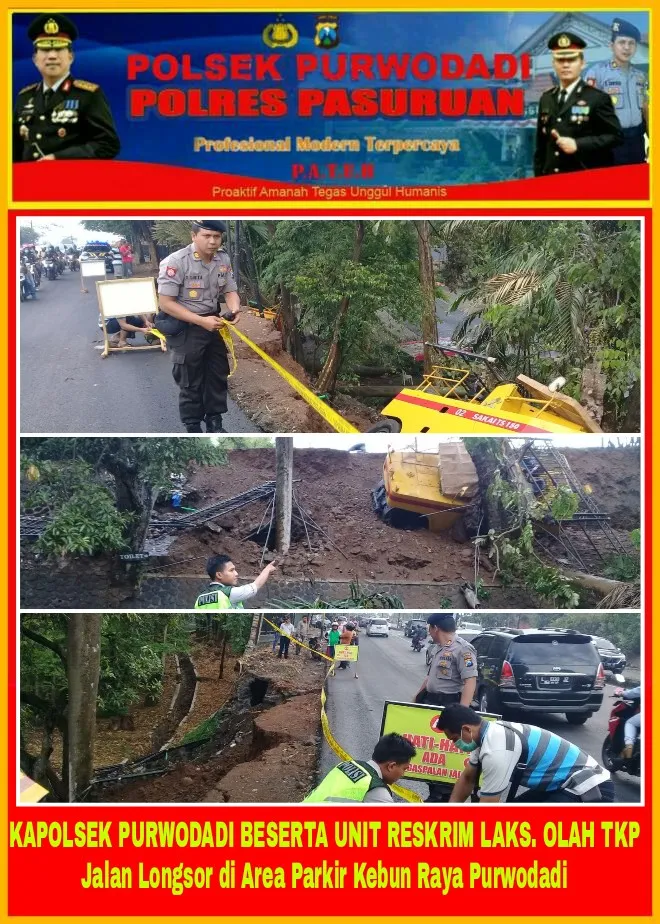Lagi Asyik Ngopi, Kejatuhan Pohon Hingga Tewas.
