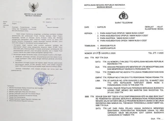 Jokowi Perintahkan &amp; Mendagri Instruksikan ke Gubernur Permudah Izin Usaha Tambak Udang 