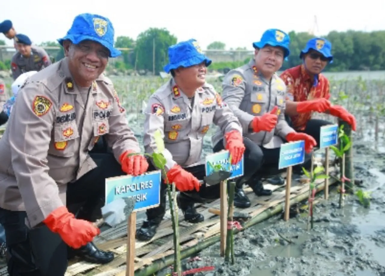 Jaga Kelestarian Alam, Ditpolairud Polda Jatim dan Polres Gresik Tanam 10.000 Mangrove di Lumpur Gresik