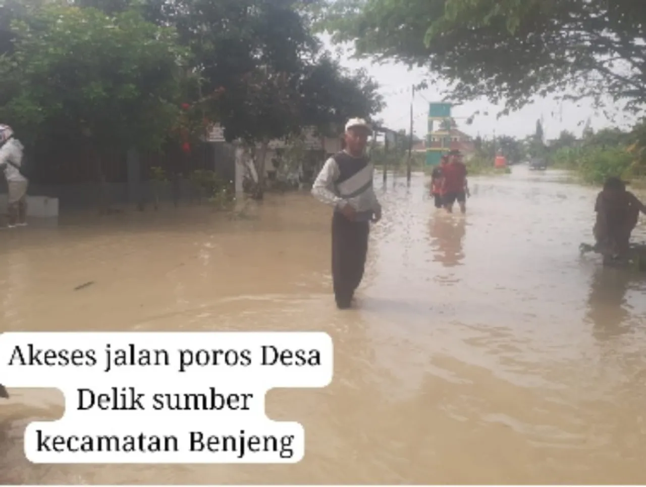 Wilayah Gresik Selatan Diterjang Banjir, Ratusan Hektar Sawah Gagal Panen