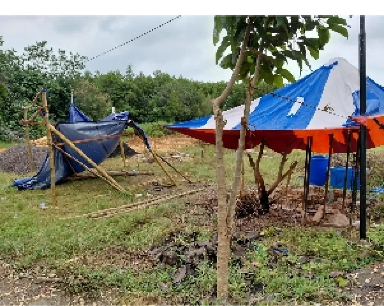 Terungkap, CV. Sinergi Mitra Andalan  Pelaksana Proyek Pasar Ikan Banyuates Sampang dari CSR Petronas Rp1,2 Miliar ‎