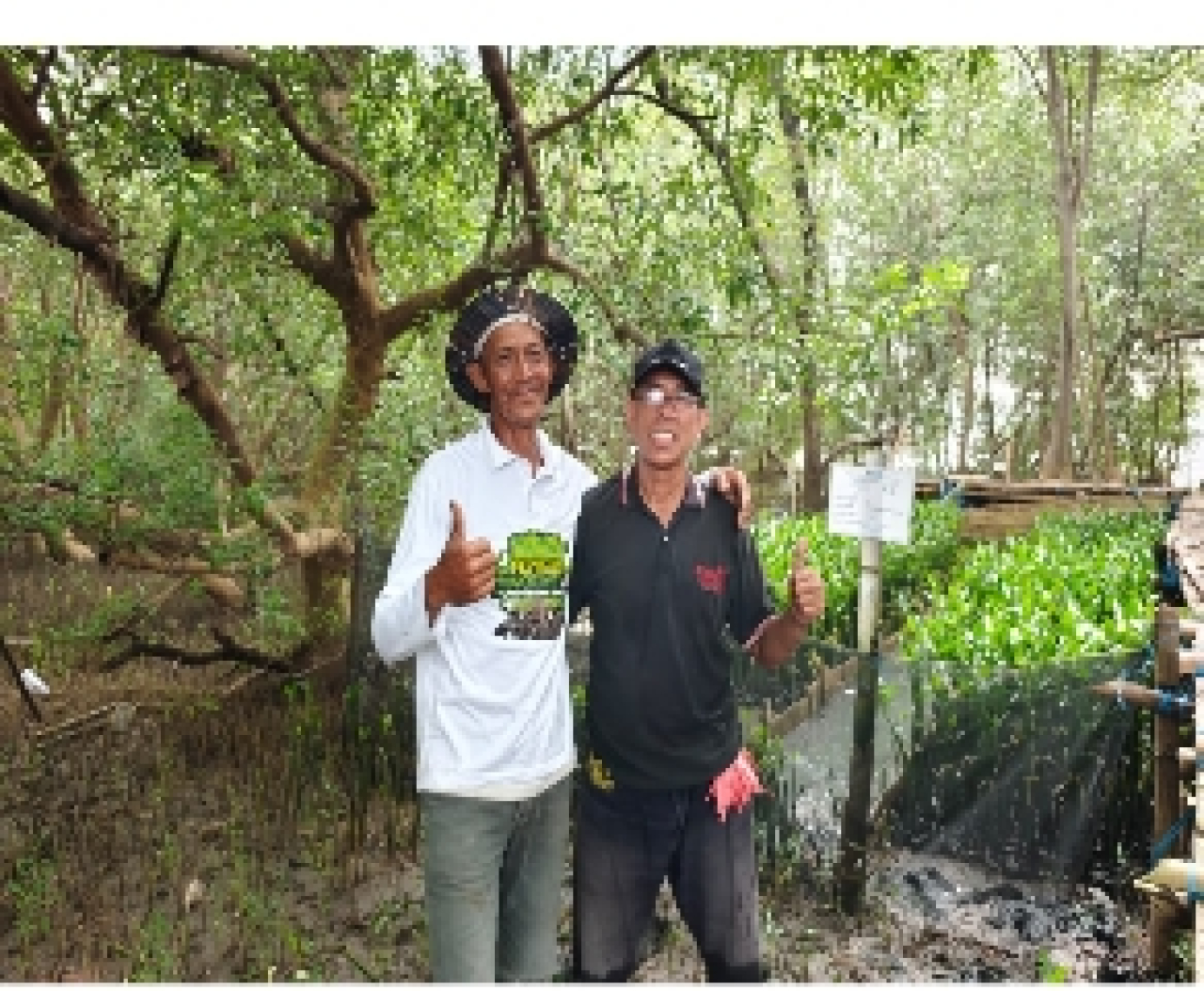 TPS Dorong Restorasi Pesisir Berbasis Pemberdayaan Petani Mangrove di Surabaya