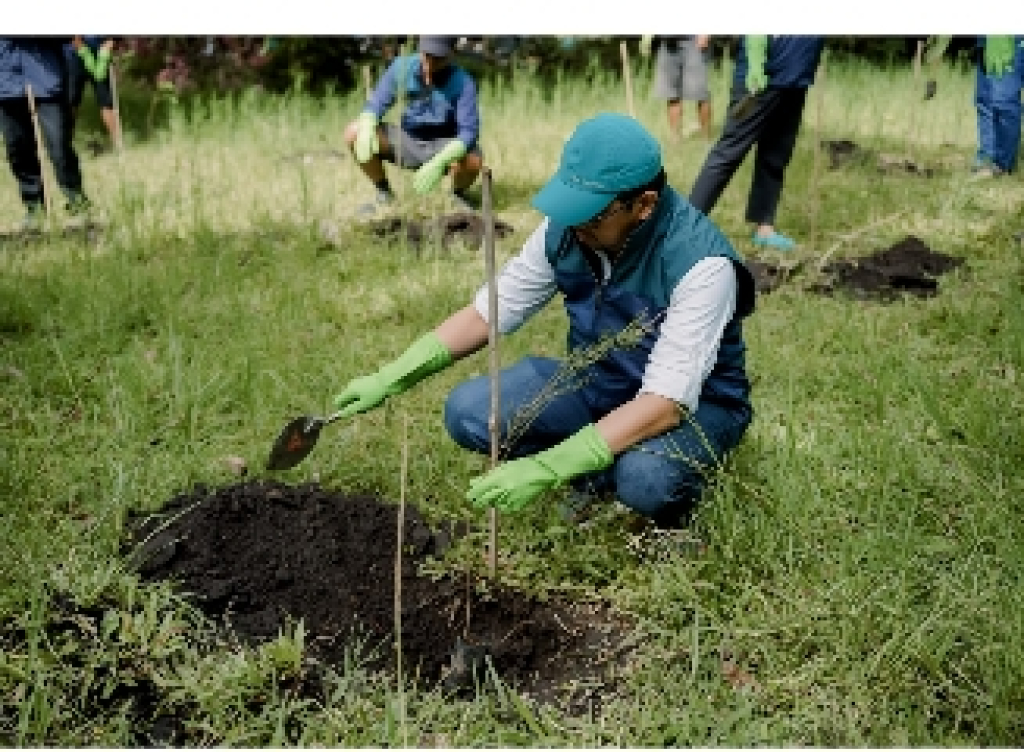 Tanam 120 Bibit Pohon Pinus di Coban Talun, TPS Komitmen Pelestarian Lingkungan