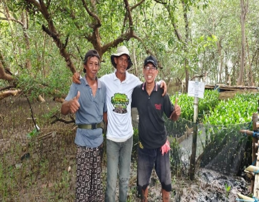 Respons Tantangan Pembibitan Mangrove, TPS Perkuat Pelestarian Pesisir secara Adaptif