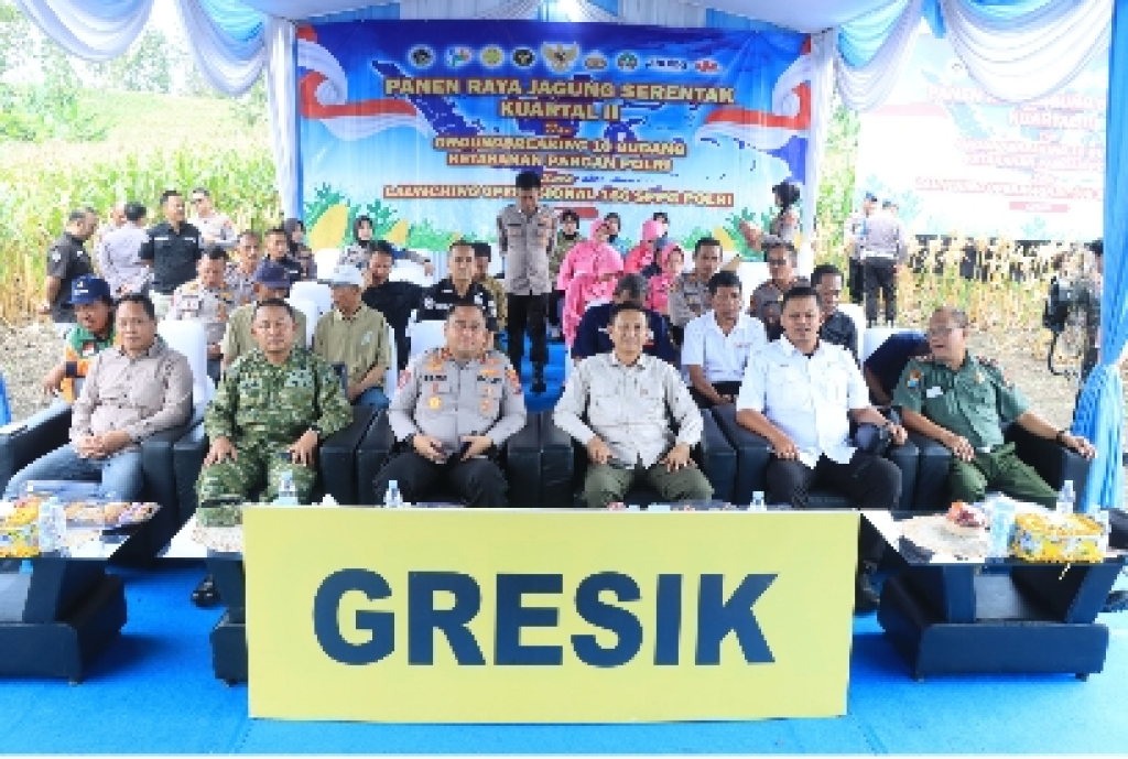 ‎Polres Gresik Panen 80 Ton Jagung, Perkuat Ketahanan Pangan Nasional