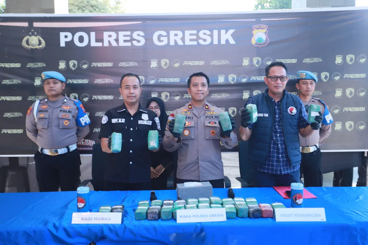 Ganja 10,8 Kilogram Disamarkan dalam Vespa, Polres Gresik Buru Pengirim ke Sulawesi Tengah