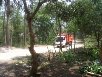 Tambang Sirtu Manfaatkan Hutan Lindung Jadi Akses Jalan, Musim Hujan Debit Air Sungai Mengecil.