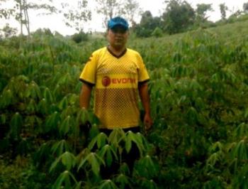 Harga Singkong Anjlok, Petani Harus Bertemu Dengan Pengusaha Tape  