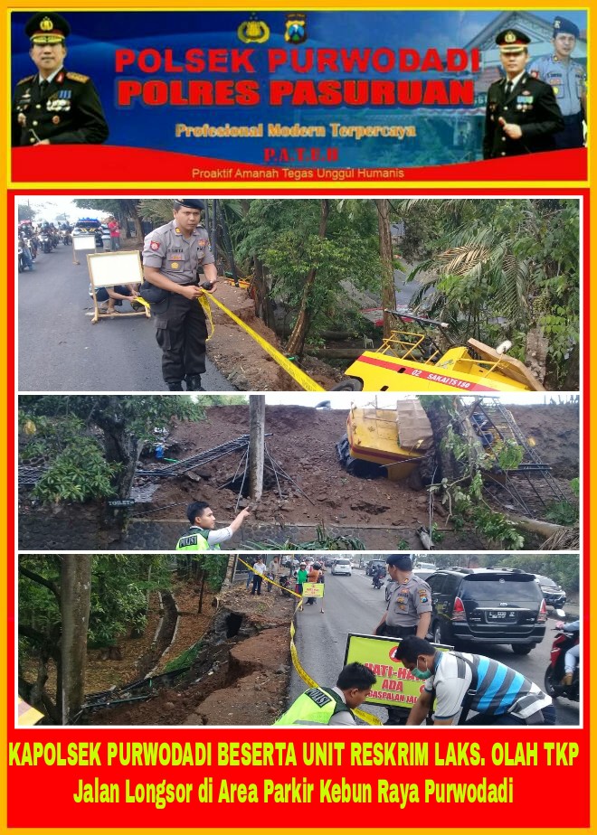 Lagi Asyik Ngopi, Kejatuhan Pohon Hingga Tewas.