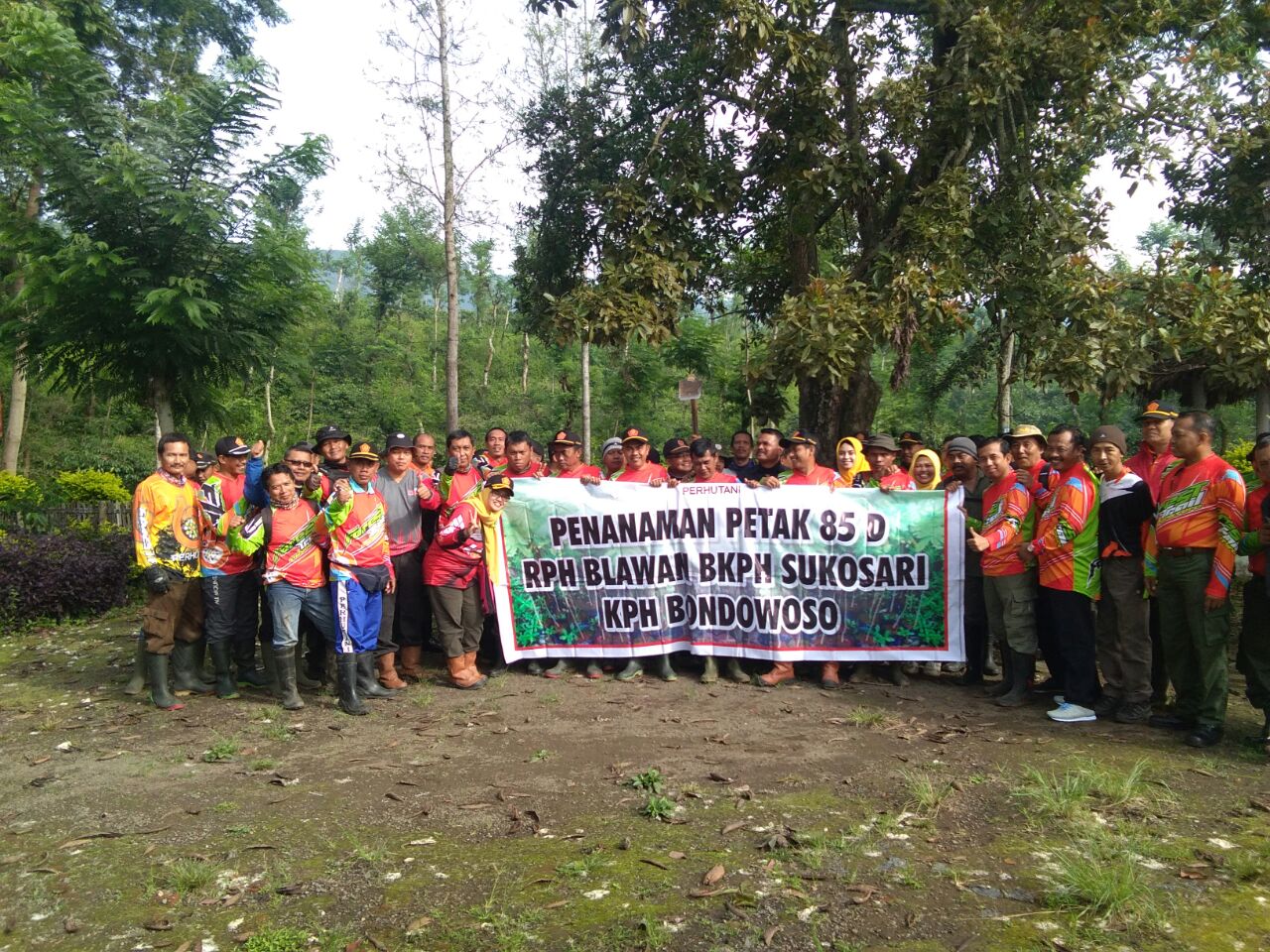 Reboisasi Tanam 2000 Bibit Sengon Laut, di RPH Blawan BKPH Sukosari Petak 85.